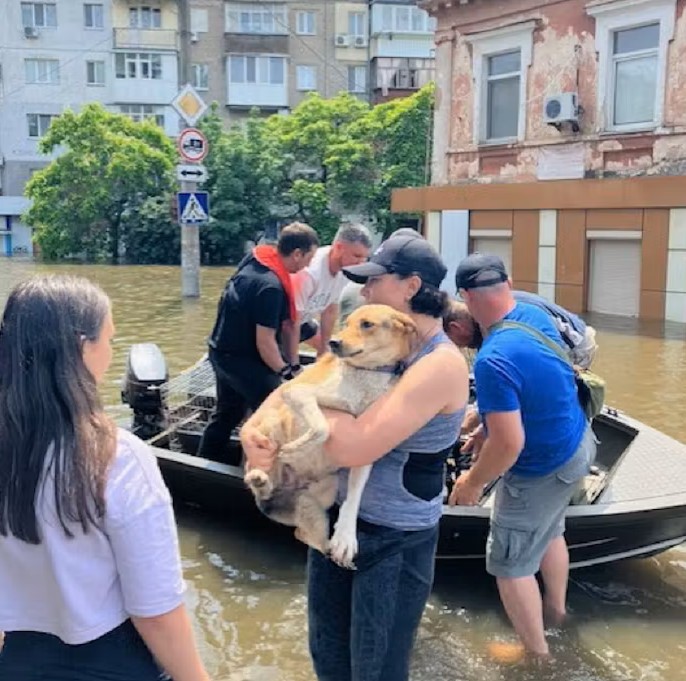 【ﾋｬｯﾊｰ!!】ロシア軍、洪水地域で救助隊のボートを次々撃沈