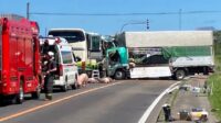 高速バスとトラックが衝突　15人けが　そのうち２人～３人が心肺停止　トラックに積まれていたブタも逃げ出す　北海道八雲町
